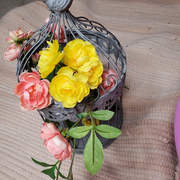 14in cage with bird on top - Picture 3 of 4